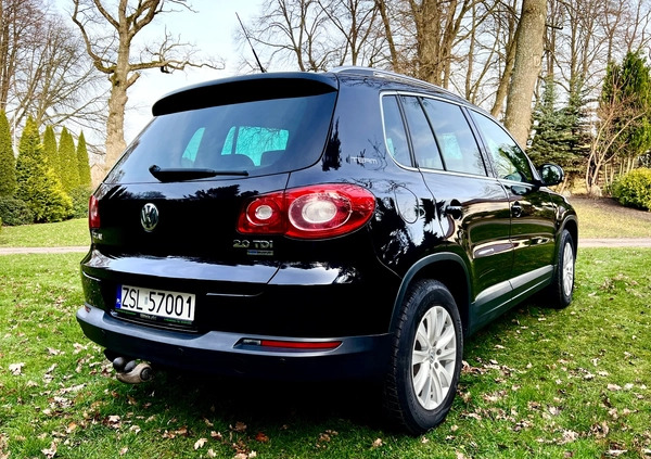 Volkswagen Tiguan cena 39000 przebieg: 182500, rok produkcji 2011 z Lubomierz małe 79
